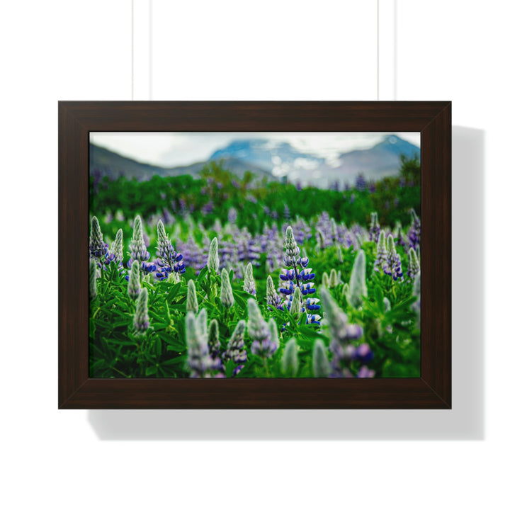 Glowing Lupin with Mountains - Framed Print - Visiting This World