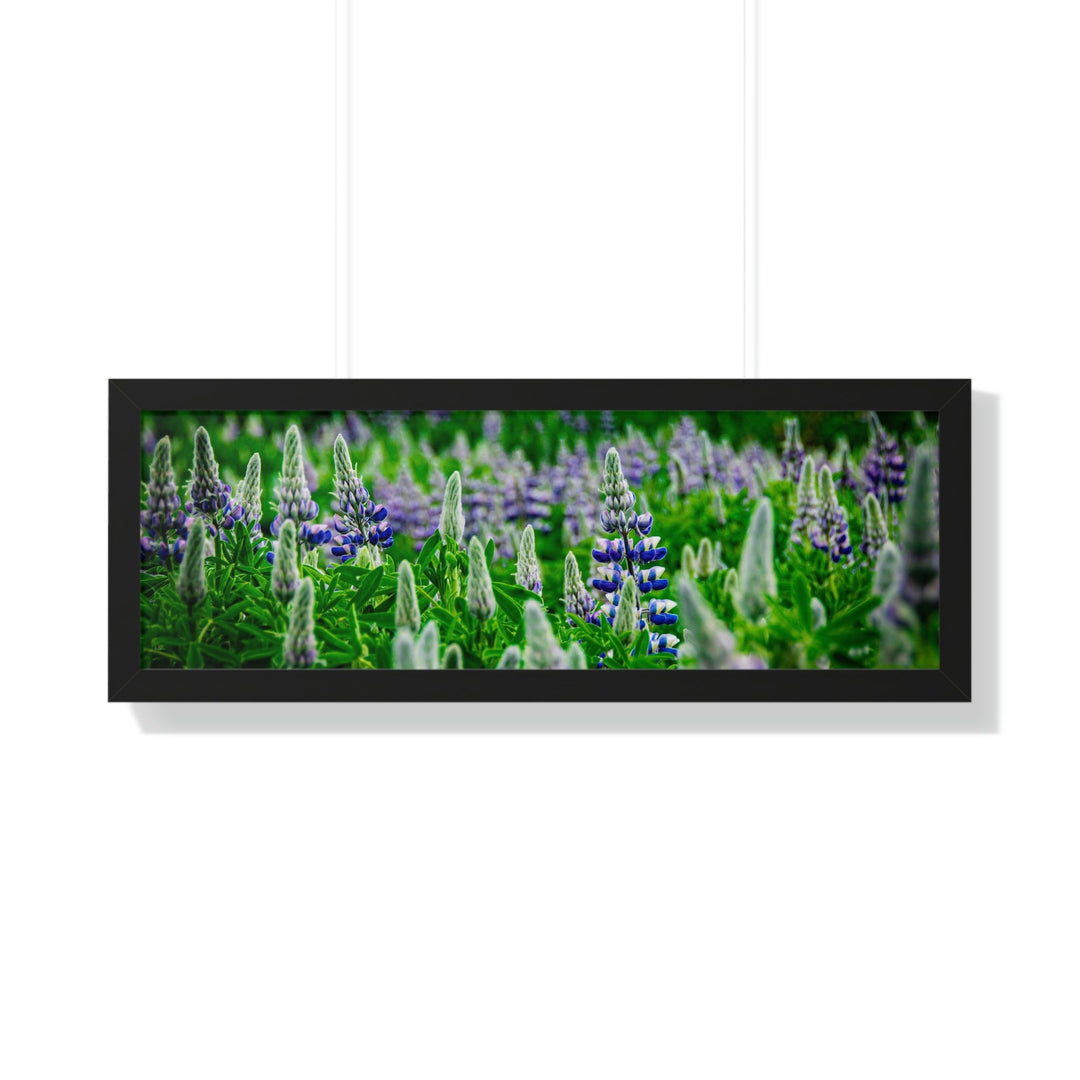 Glowing Lupin with Mountains - Framed Print - Visiting This World