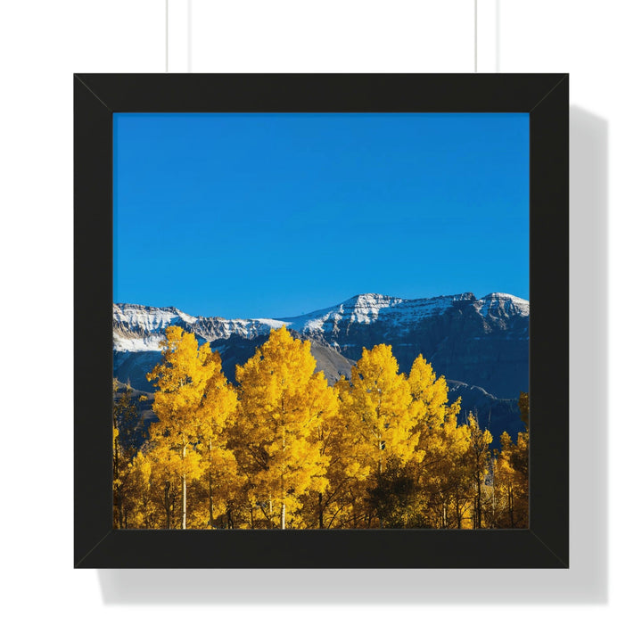 Golden Glow - Framed Print - Visiting This World