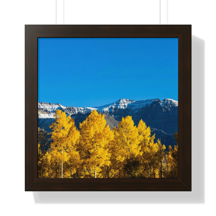 Golden Glow - Framed Print - Visiting This World