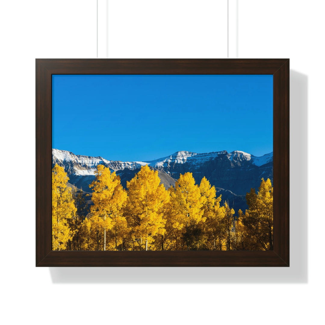 Golden Glow - Framed Print - Visiting This World