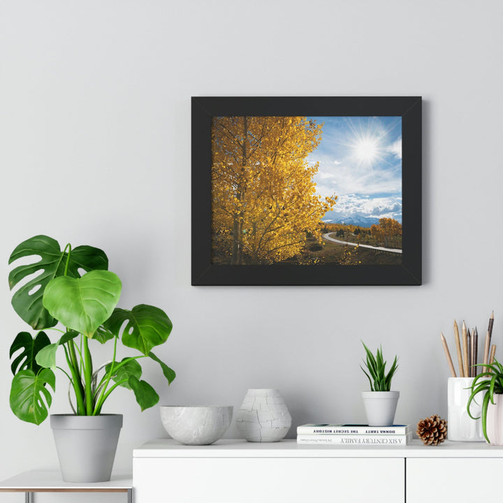 Golden Sunshine - Framed Print - Visiting This World