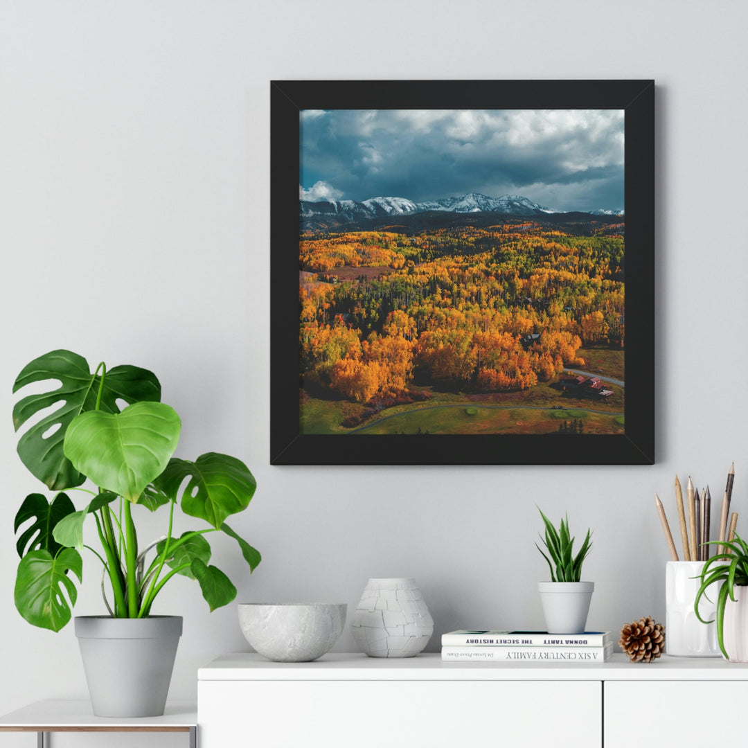 Golds of Autumn - Framed Print - Visiting This World