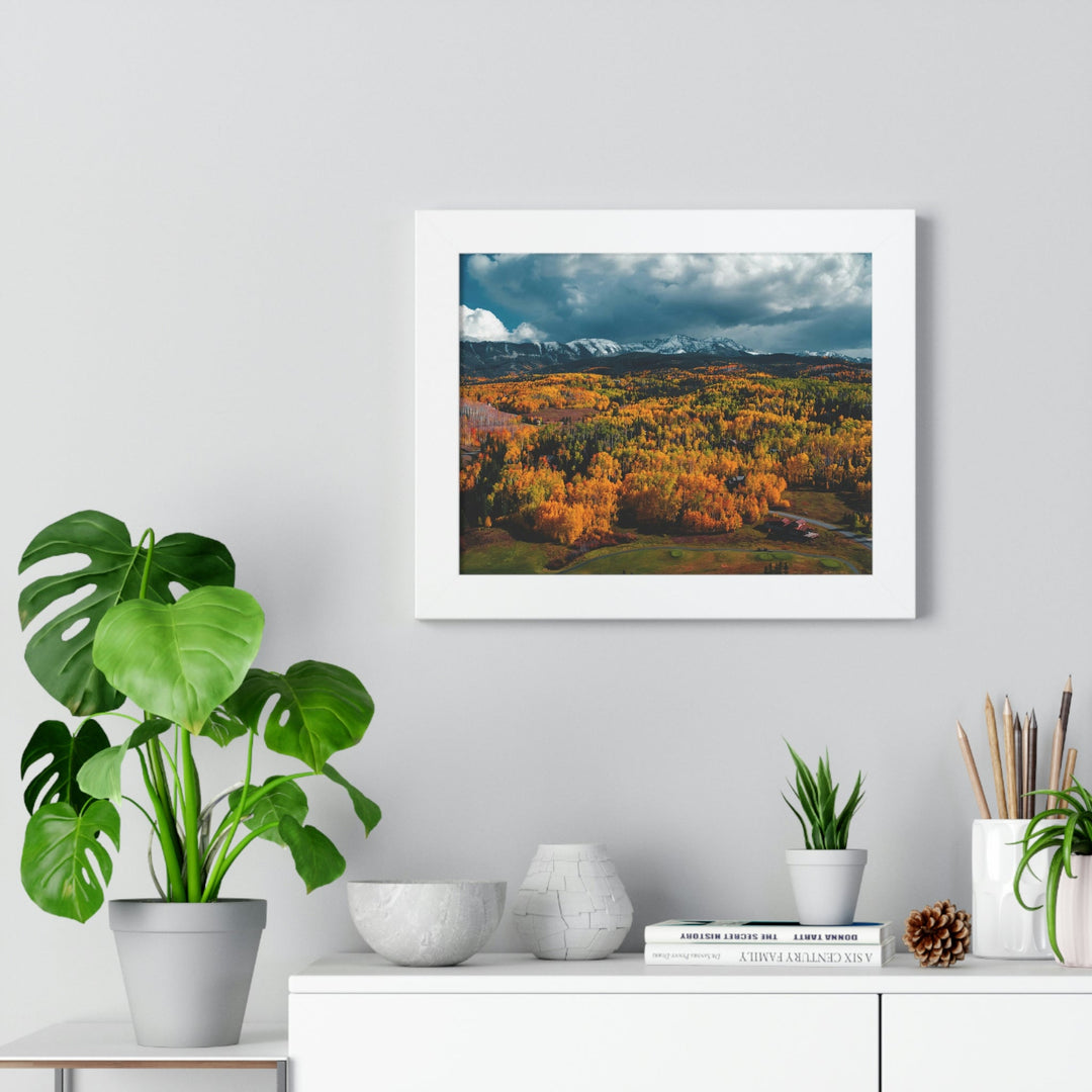 Golds of Autumn - Framed Print - Visiting This World