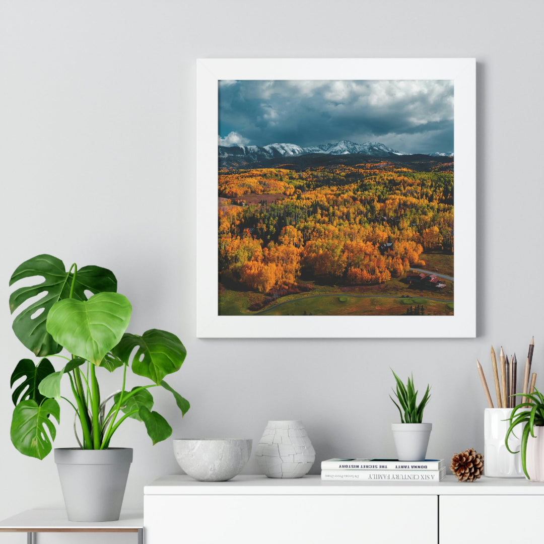 Golds of Autumn - Framed Print - Visiting This World