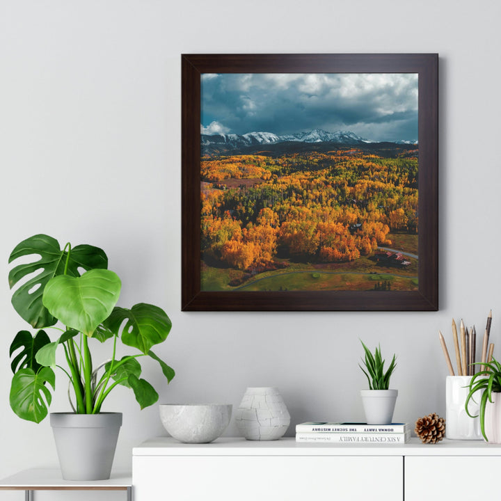 Golds of Autumn - Framed Print - Visiting This World