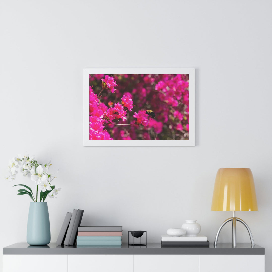 Hovering - Framed Print - Visiting This World