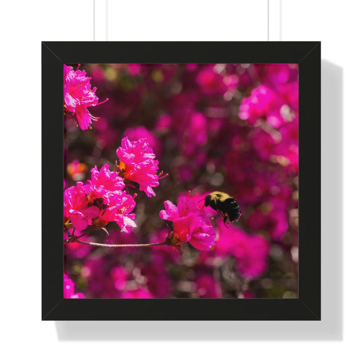 Hovering - Framed Print - Visiting This World