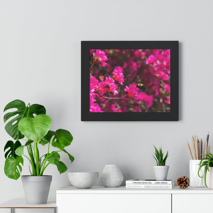 Hovering - Framed Print - Visiting This World