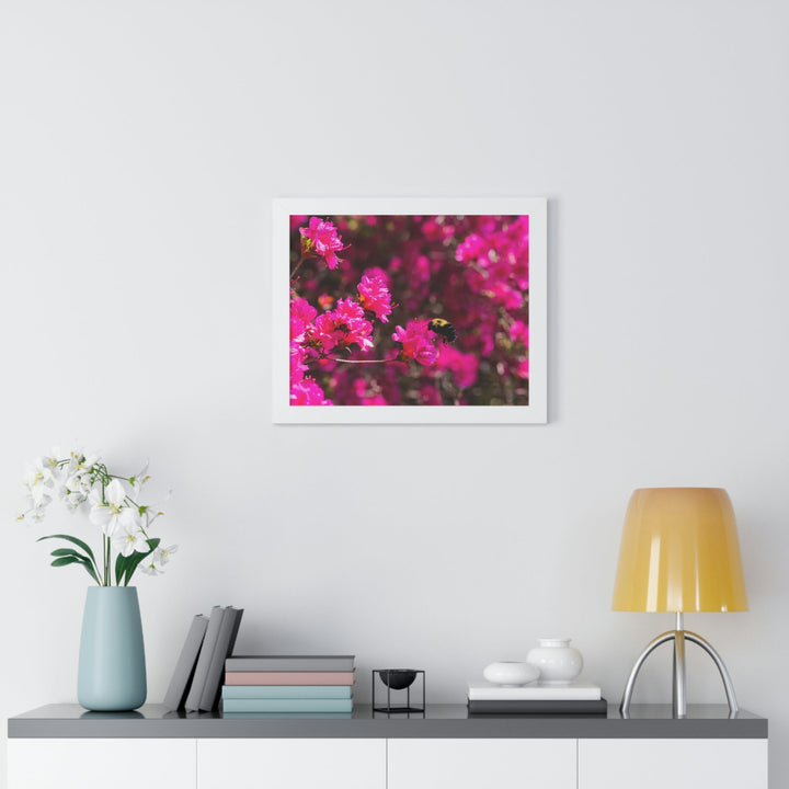 Hovering - Framed Print - Visiting This World