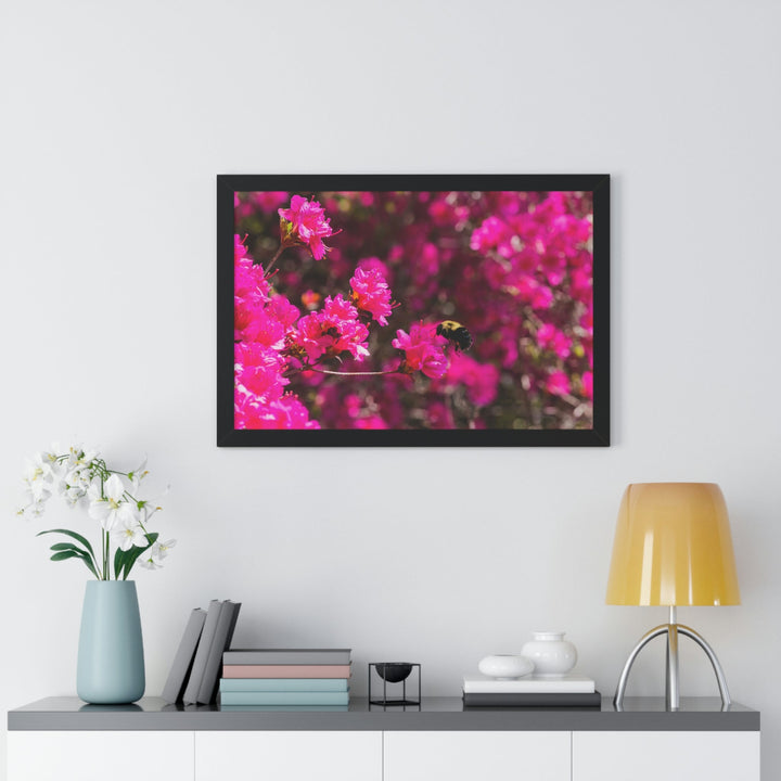 Hovering - Framed Print - Visiting This World