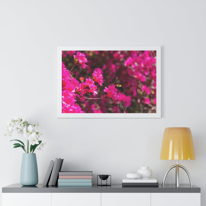 Hovering - Framed Print - Visiting This World