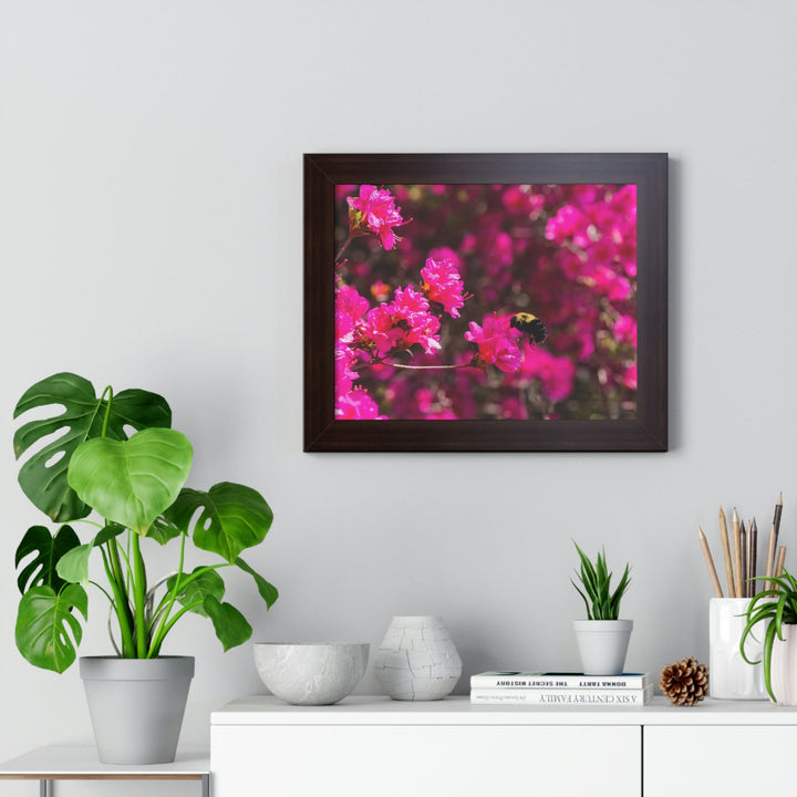 Hovering - Framed Print - Visiting This World