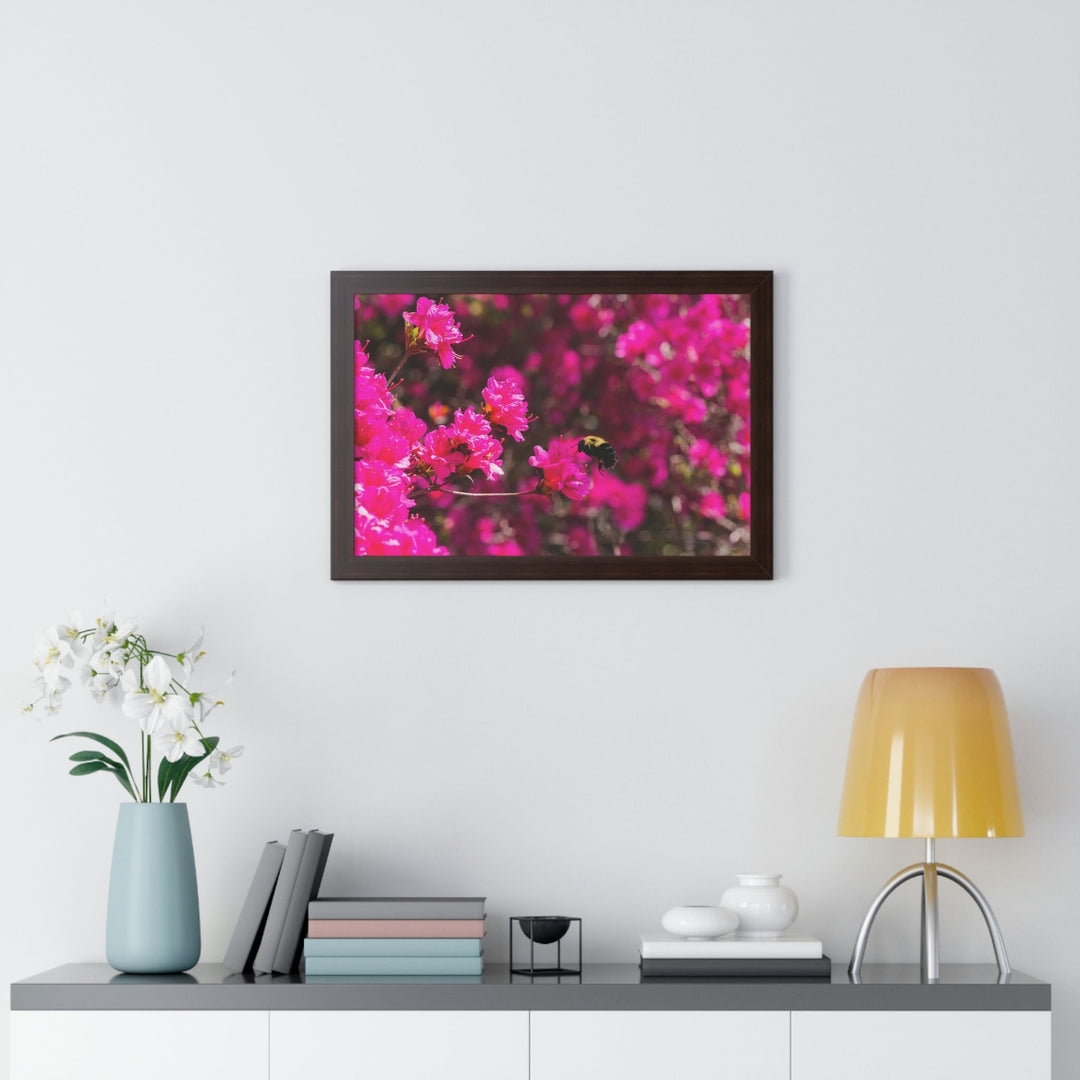 Hovering - Framed Print - Visiting This World