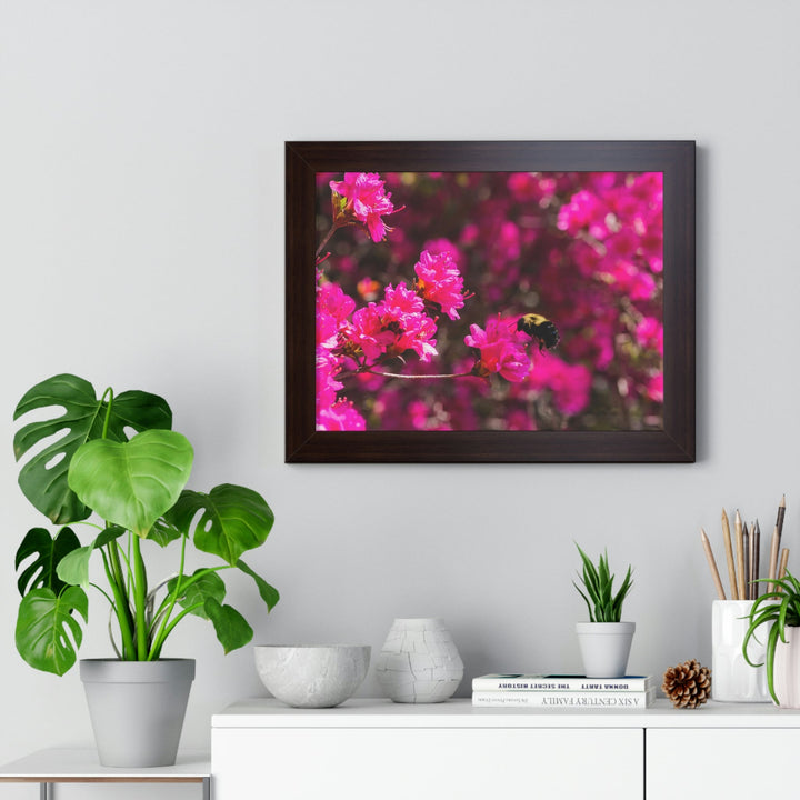 Hovering - Framed Print - Visiting This World