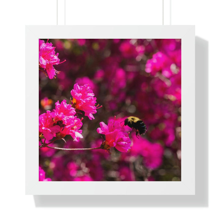 Hovering - Framed Print - Visiting This World