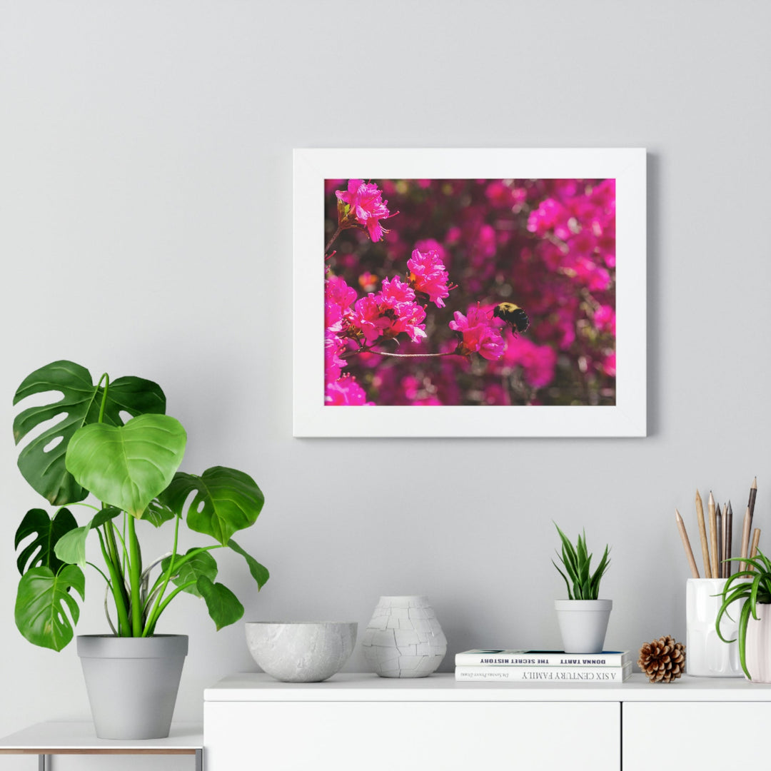 Hovering - Framed Print - Visiting This World