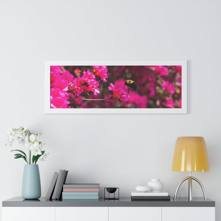 Hovering - Framed Print - Visiting This World