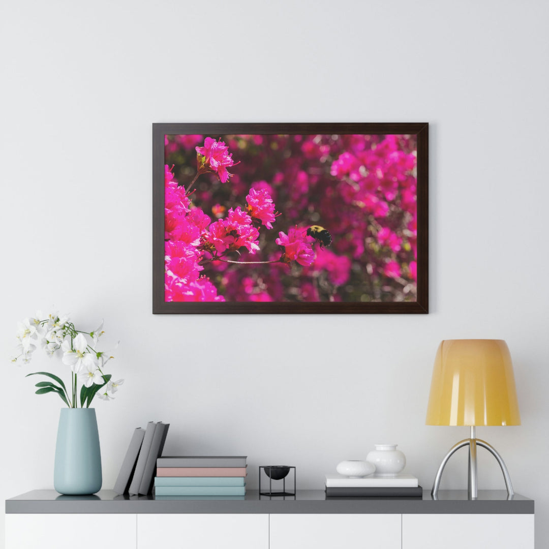 Hovering - Framed Print - Visiting This World