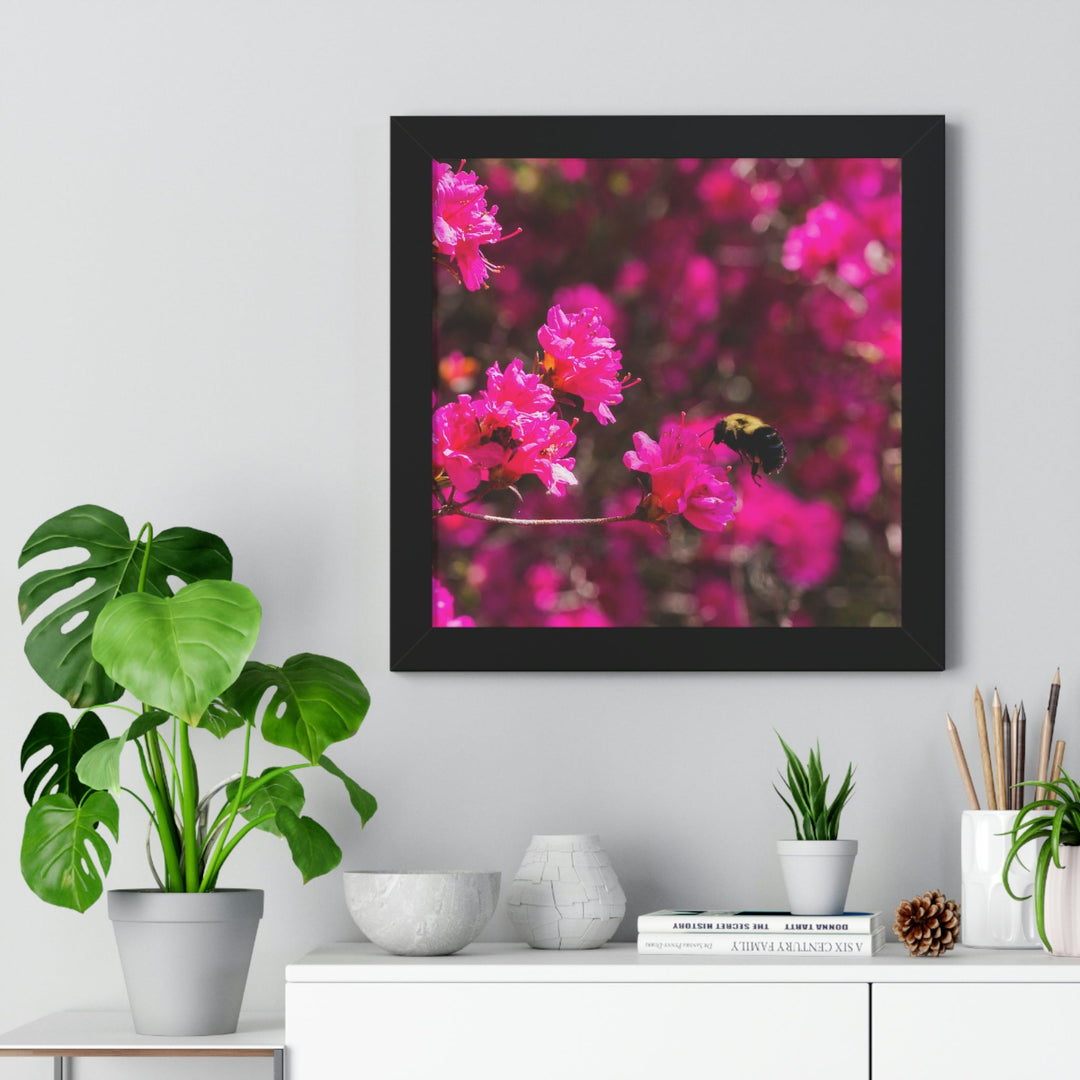 Hovering - Framed Print - Visiting This World