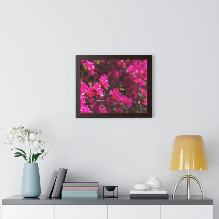 Hovering - Framed Print - Visiting This World