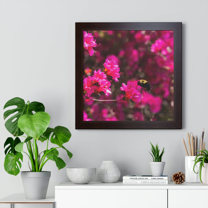 Hovering - Framed Print - Visiting This World