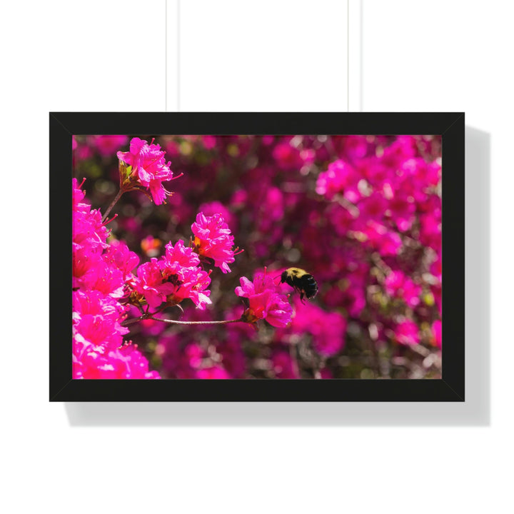 Hovering - Framed Print - Visiting This World