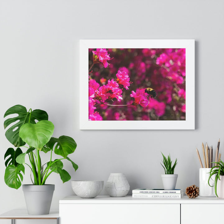 Hovering - Framed Print - Visiting This World