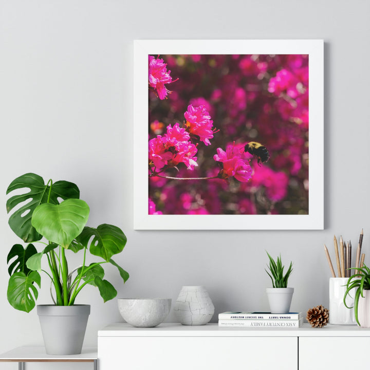 Hovering - Framed Print - Visiting This World