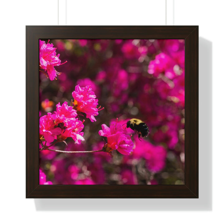 Hovering - Framed Print - Visiting This World