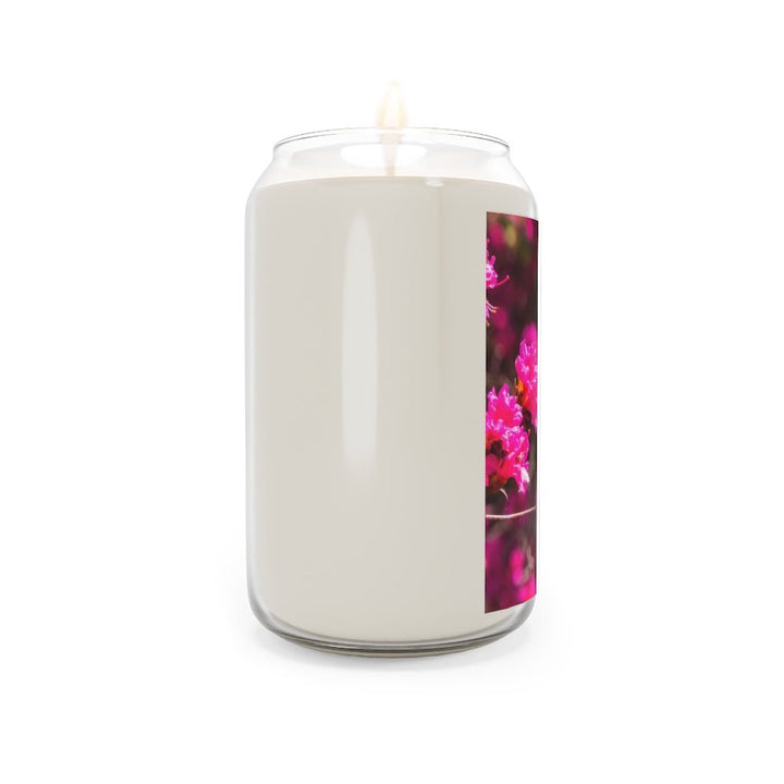 Hovering - Scented Candle, 13.75oz - Visiting This World