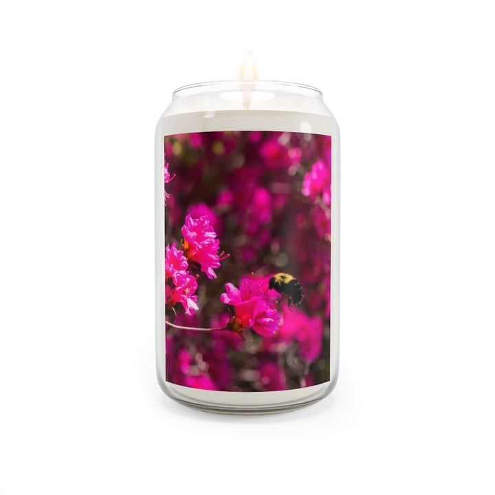 Hovering - Scented Candle, 13.75oz - Visiting This World