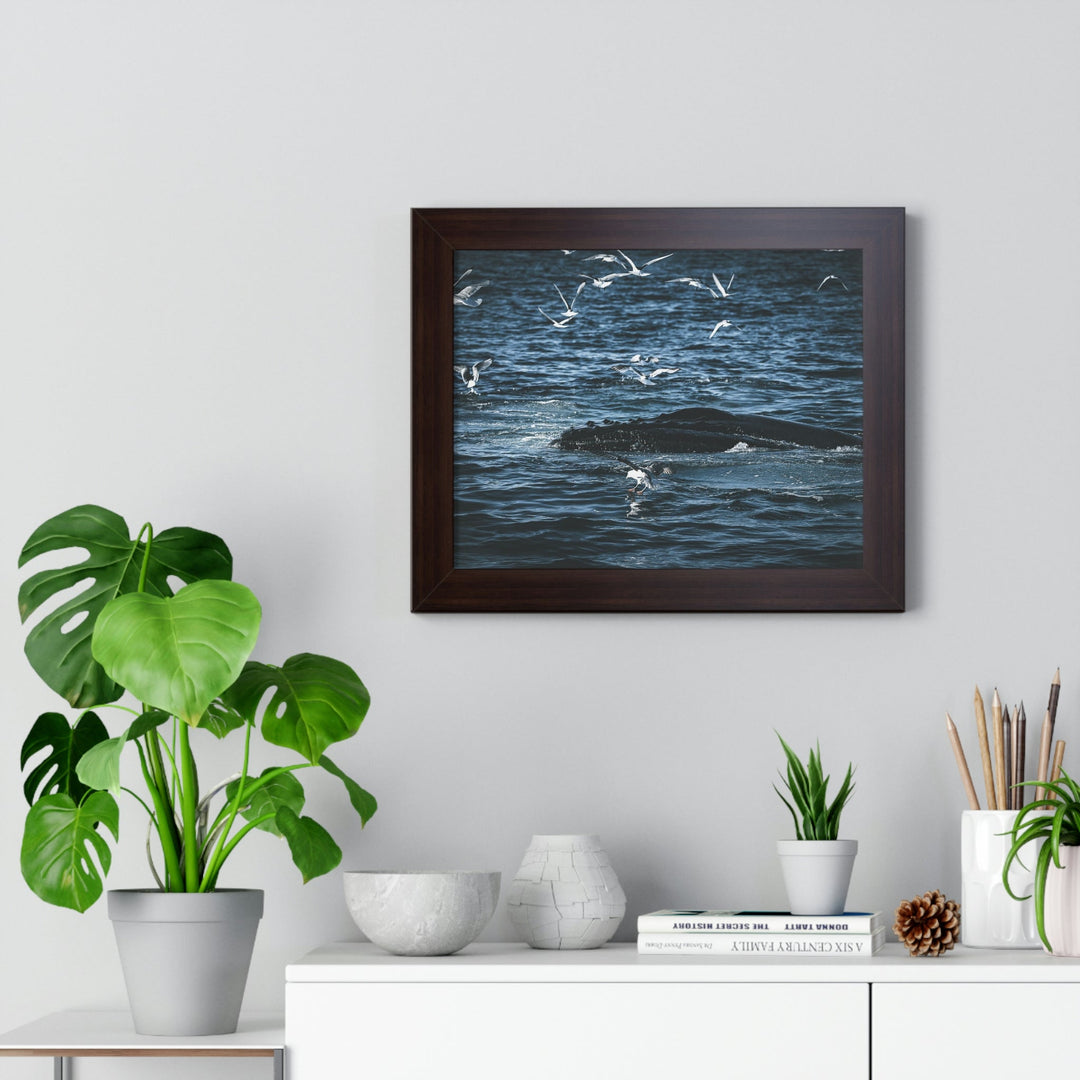 Humpback Hello - Framed Print - Visiting This World