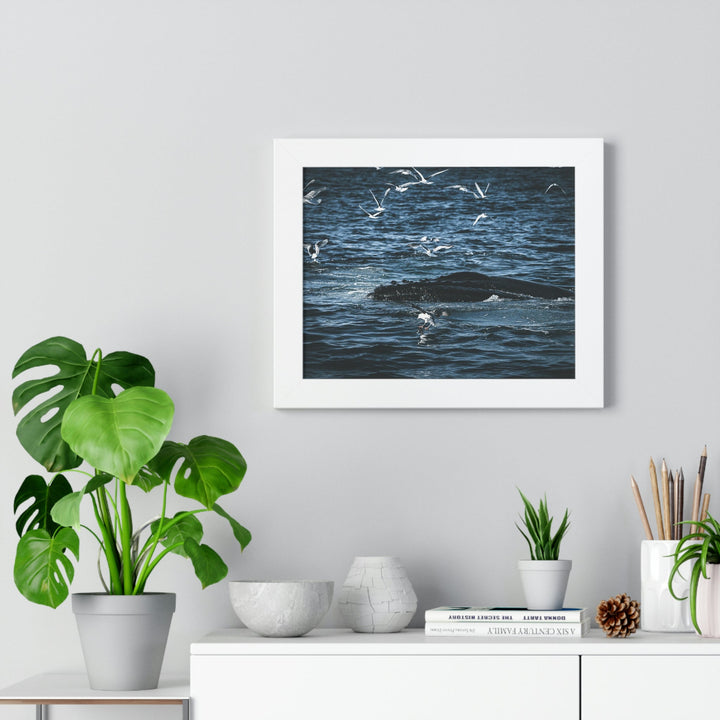 Humpback Hello - Framed Print - Visiting This World