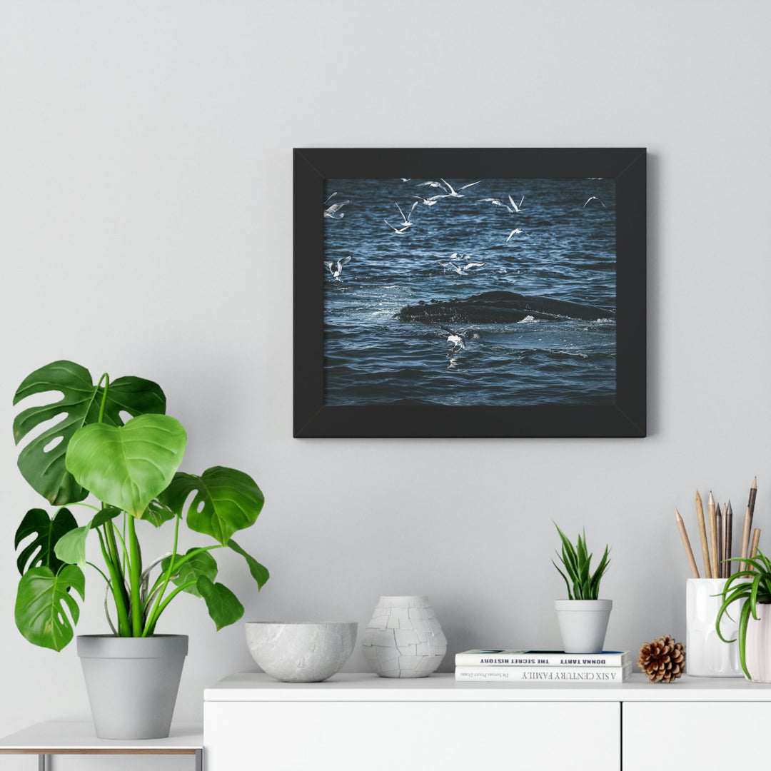 Humpback Hello - Framed Print - Visiting This World