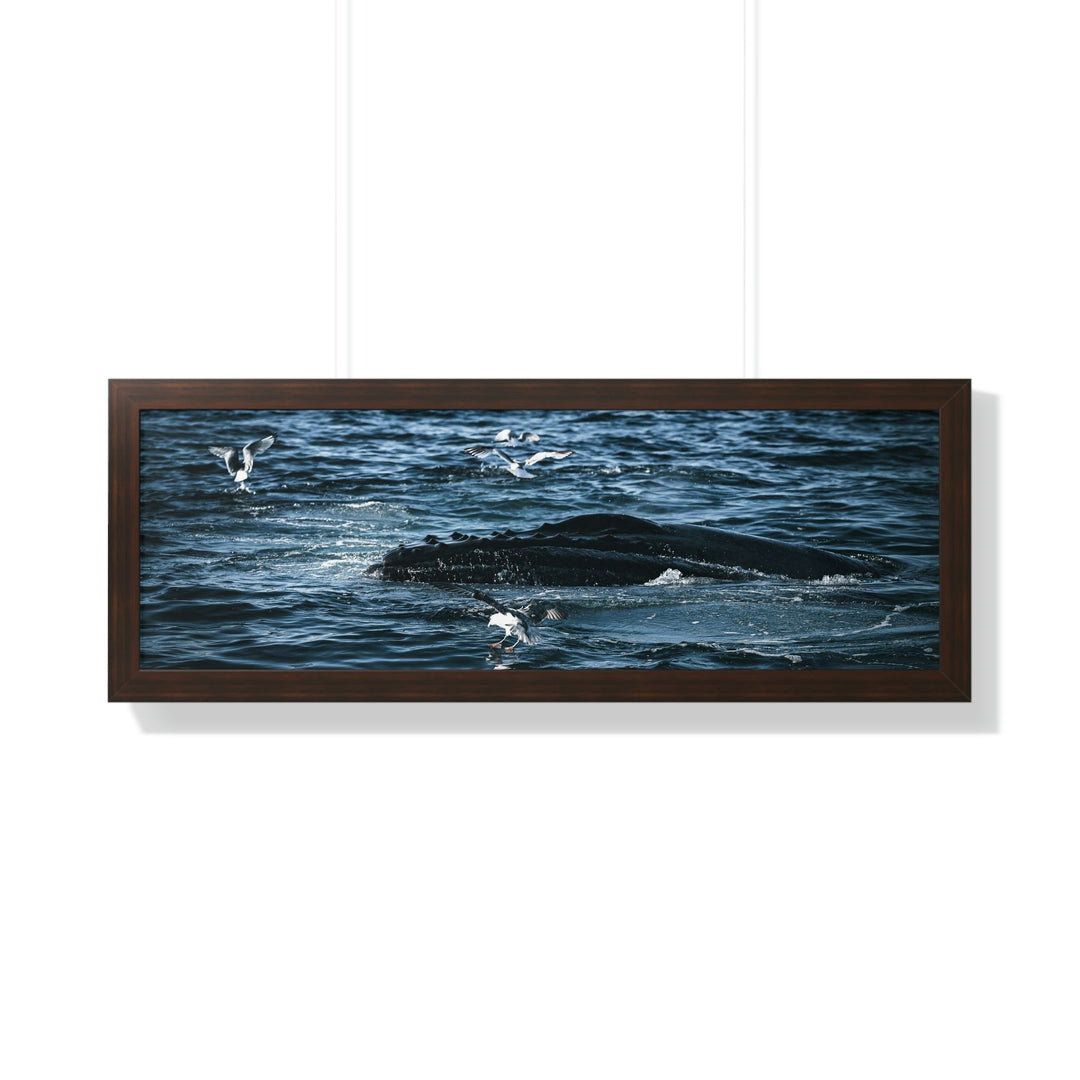 Humpback Hello - Framed Print - Visiting This World