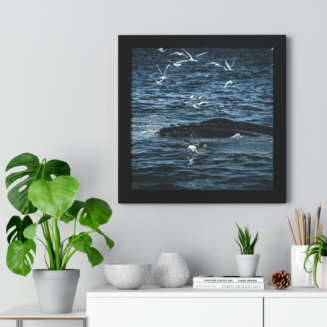 Humpback Hello - Framed Print - Visiting This World