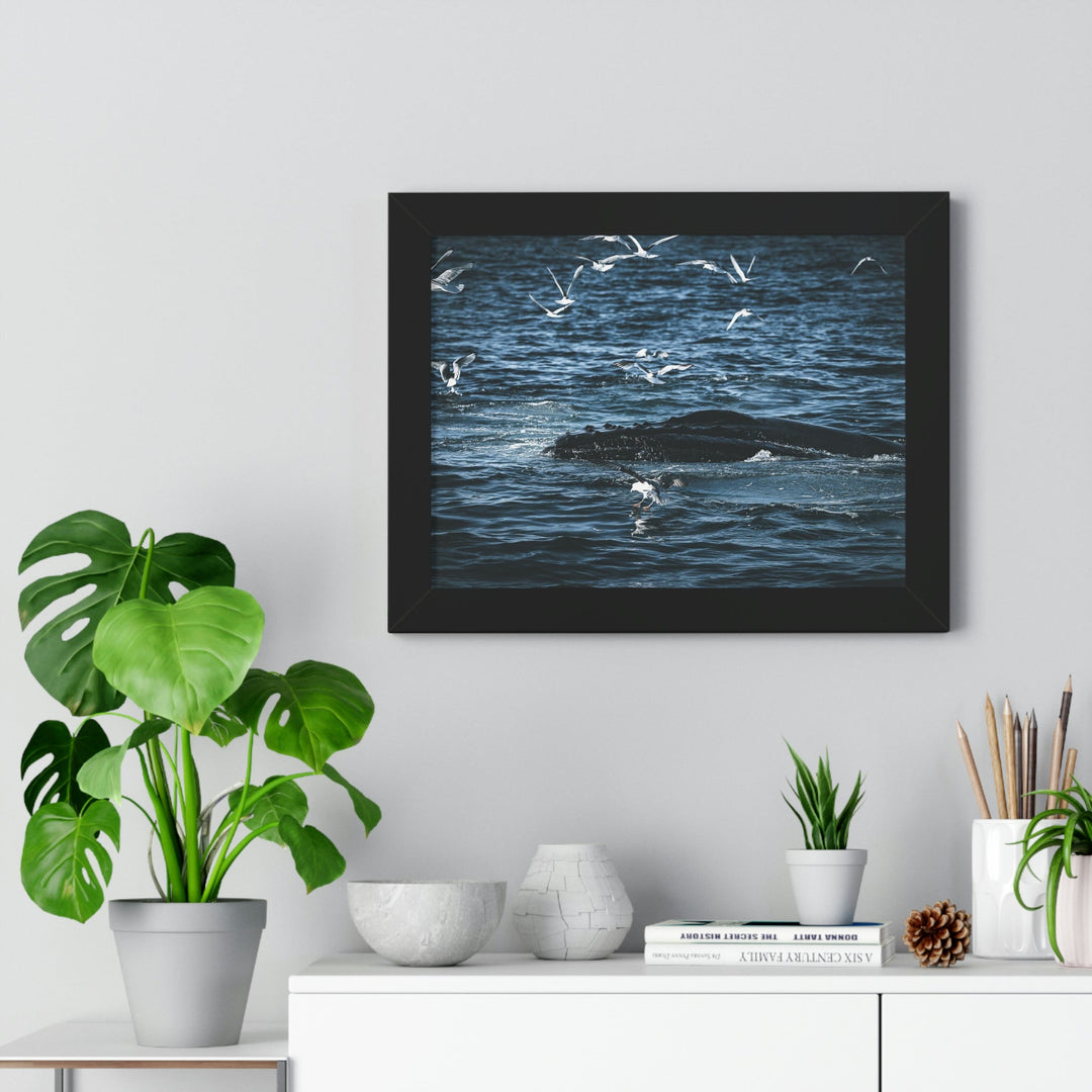 Humpback Hello - Framed Print - Visiting This World