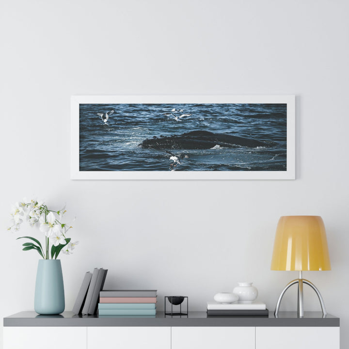 Humpback Hello - Framed Print - Visiting This World