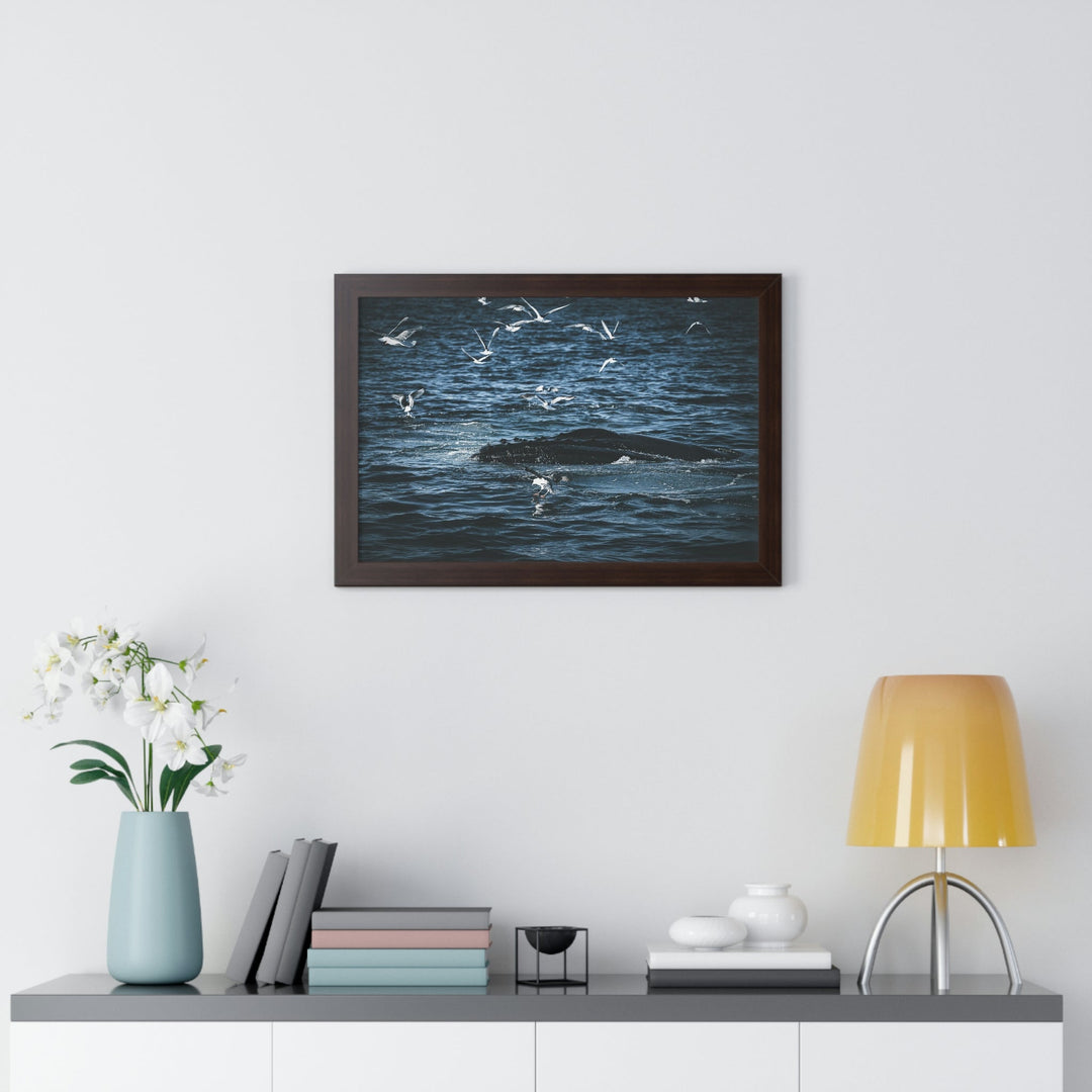 Humpback Hello - Framed Print - Visiting This World