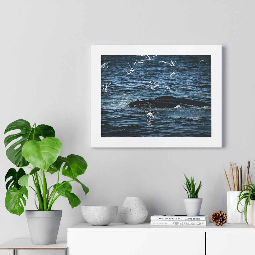 Humpback Hello - Framed Print - Visiting This World