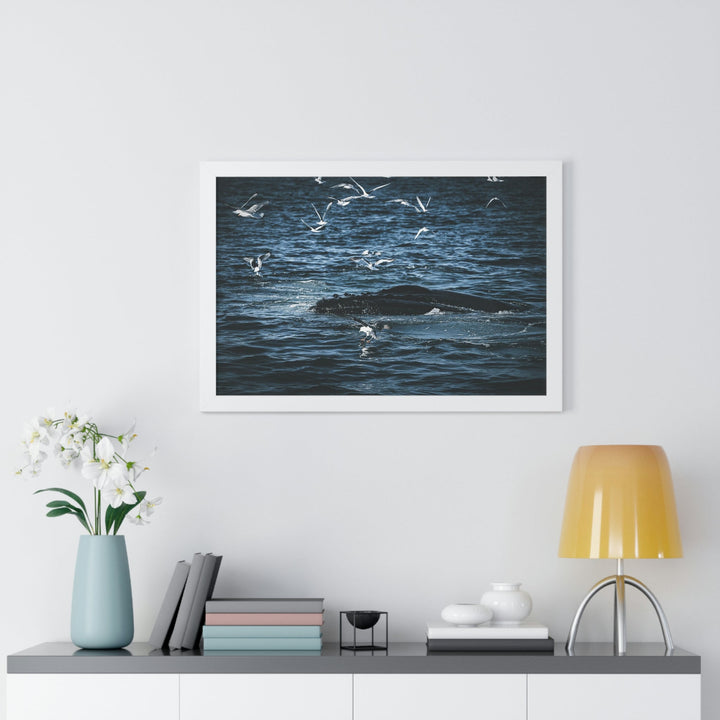 Humpback Hello - Framed Print - Visiting This World