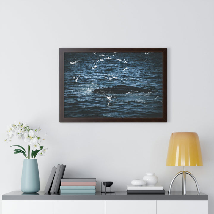 Humpback Hello - Framed Print - Visiting This World