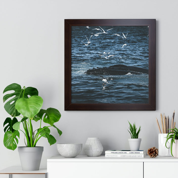 Humpback Hello - Framed Print - Visiting This World