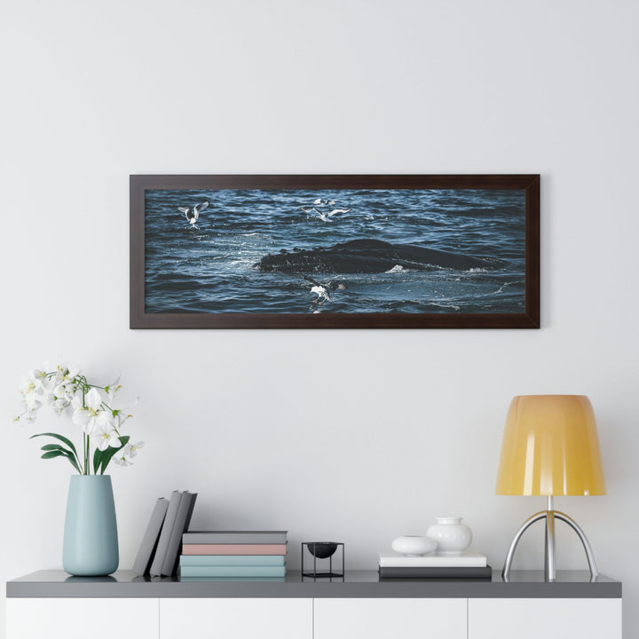 Humpback Hello - Framed Print - Visiting This World