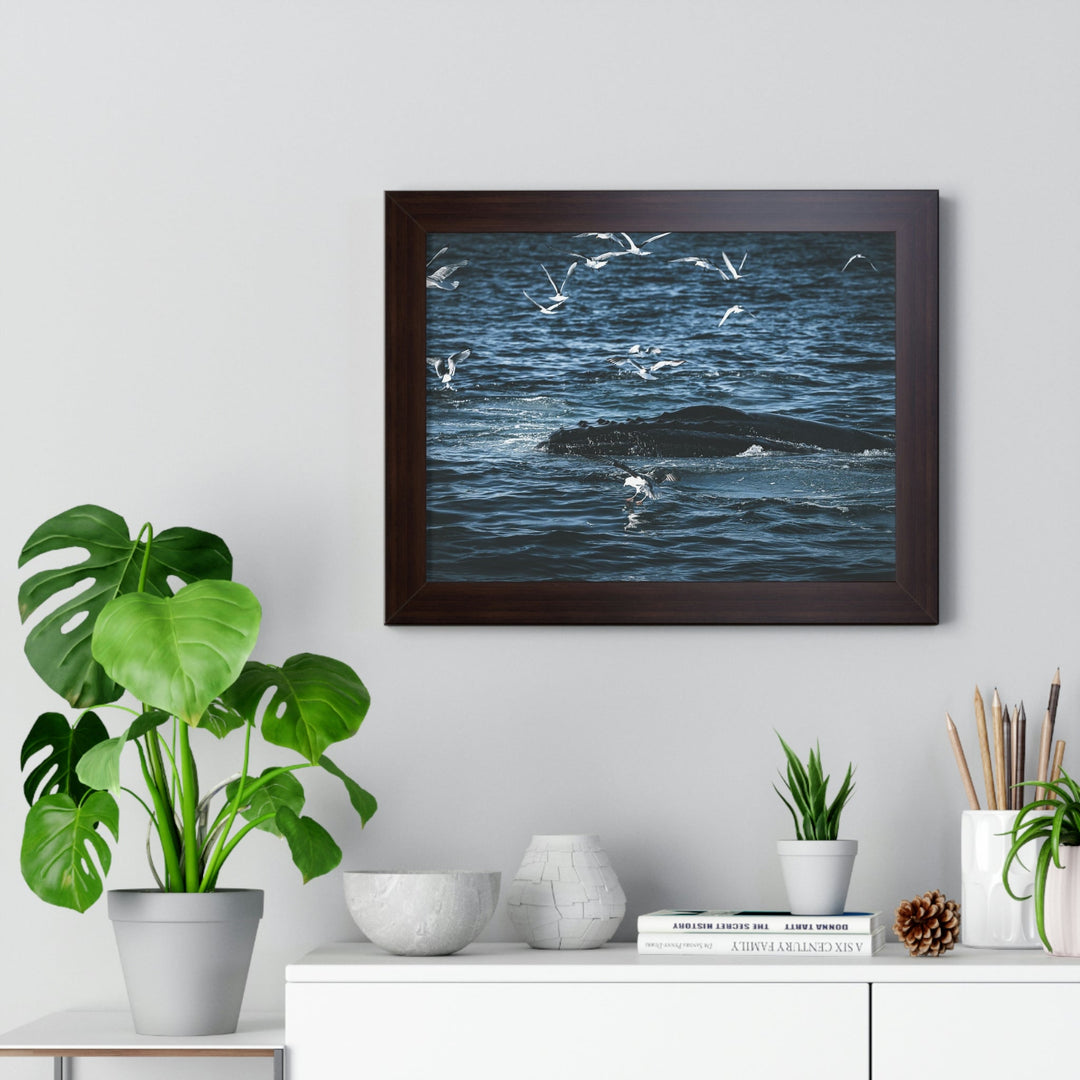 Humpback Hello - Framed Print - Visiting This World