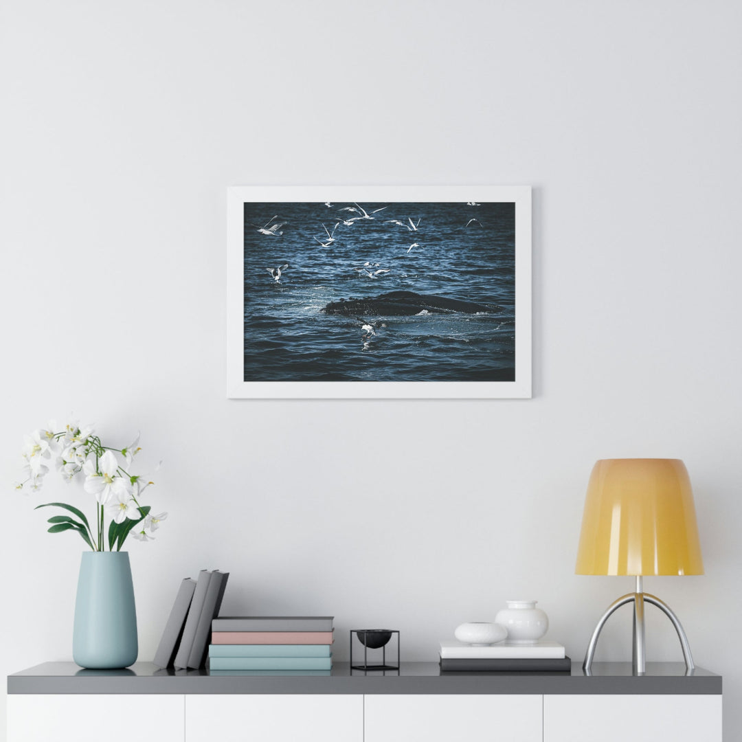 Humpback Hello - Framed Print - Visiting This World