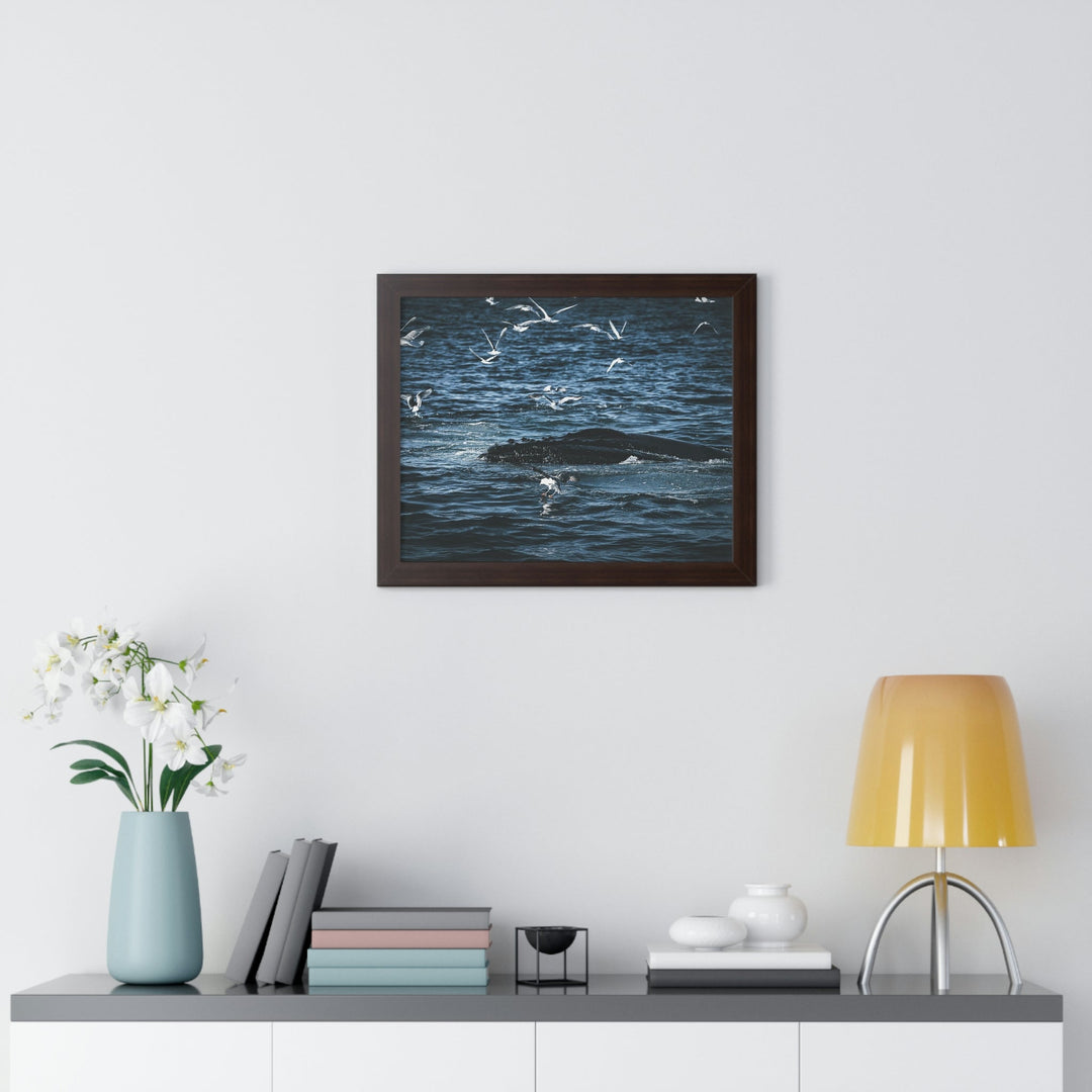 Humpback Hello - Framed Print - Visiting This World