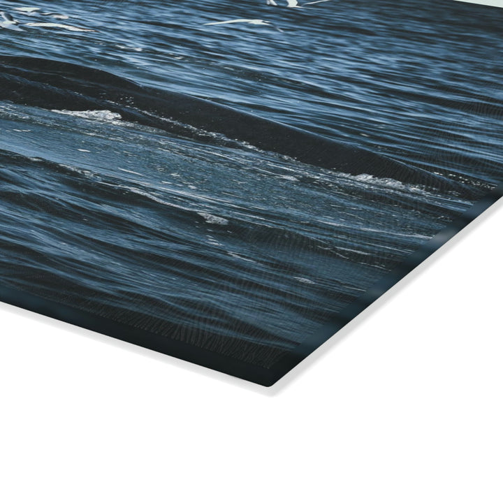 Humpback Hello - Glass Cutting Board - Visiting This World