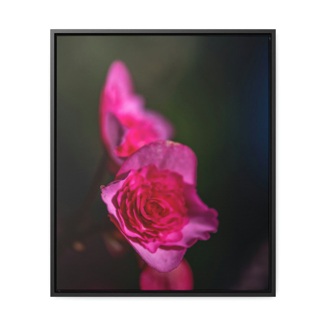 Hybrid Tea Rose - Canvas with Frame - Visiting This World